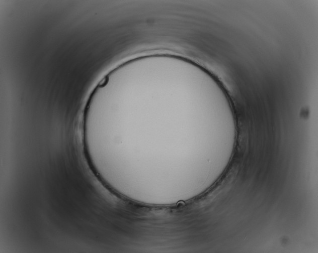 X0000102861516200809021412