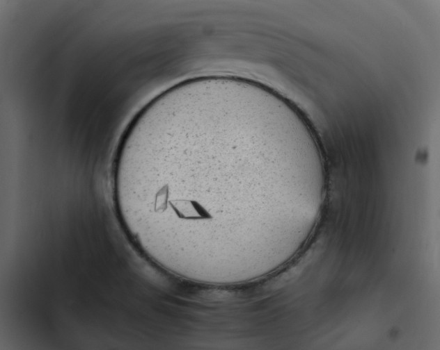 X0000102861517200809021413