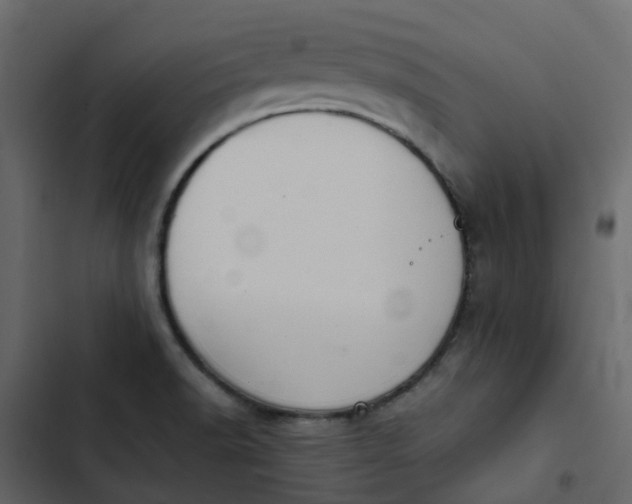 X0000102861518200809021413