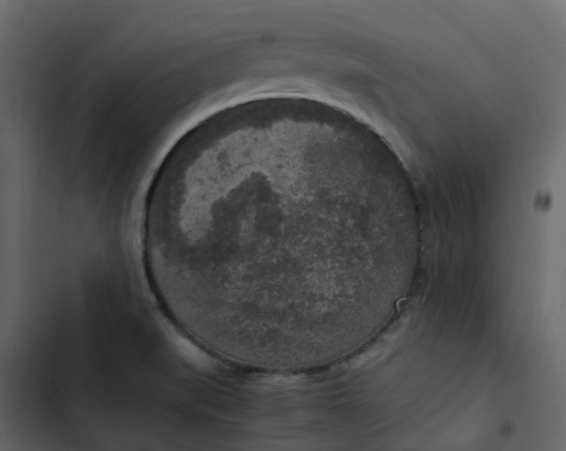 X0000102861519200809021413