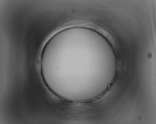 X0000102861520200809021413