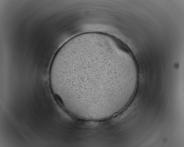 X0000102861521200809021413