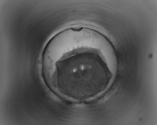 X0000102861522200809021413