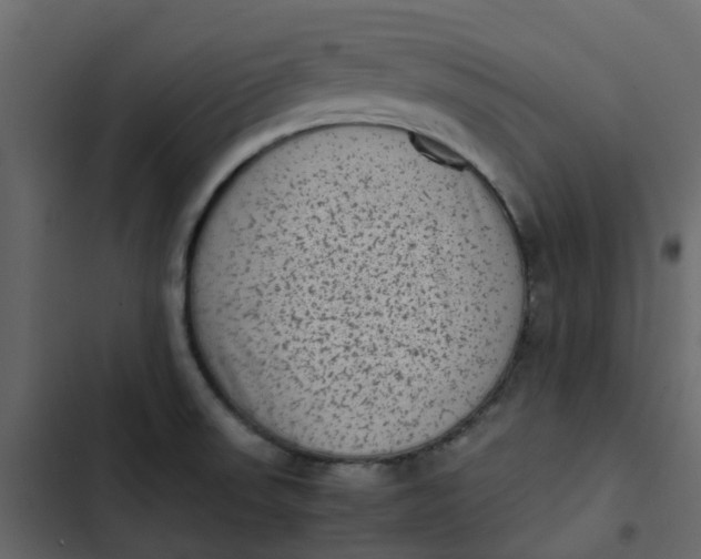 X0000102861523200809021413