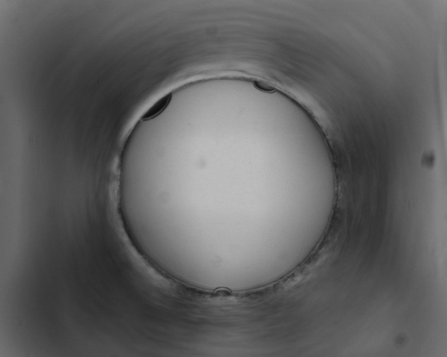 X0000102861524200809021413