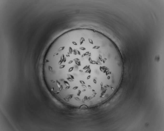 X0000102861525200809021413