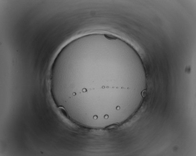 X0000102861526200809021413