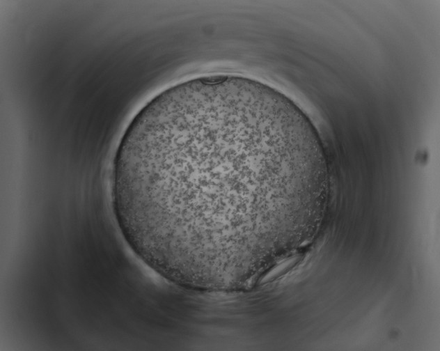 X0000102861527200809021413