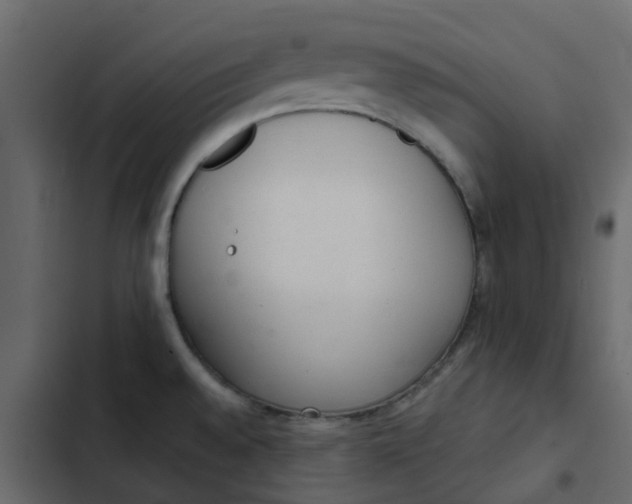 X0000102861528200809021413