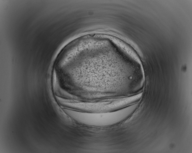 X0000102861530200809021413