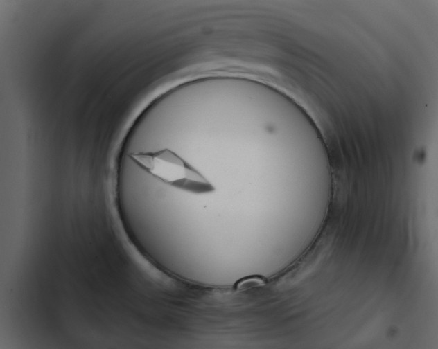 X0000102861531200809021413