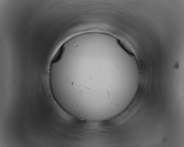 X0000102861532200809021413