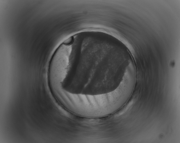 X0000102861533200809021413