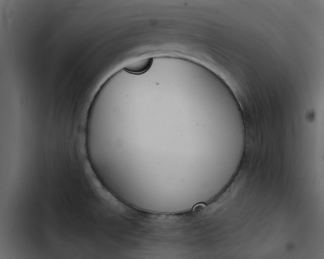 X0000102861534200809021413