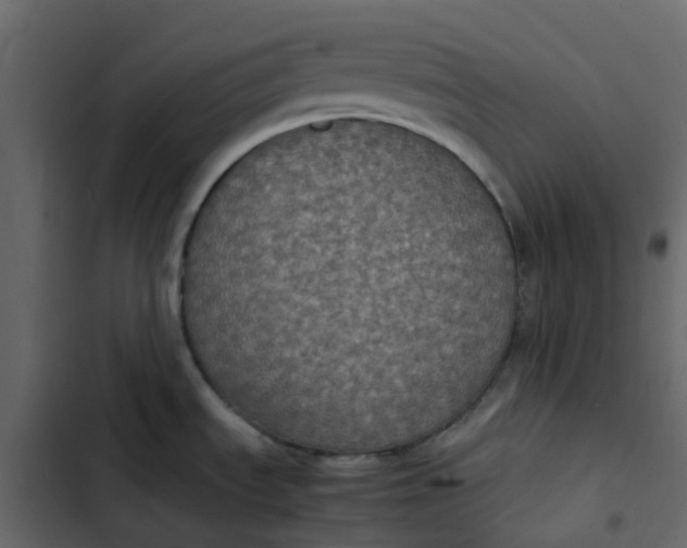 X0000102861535200809021413