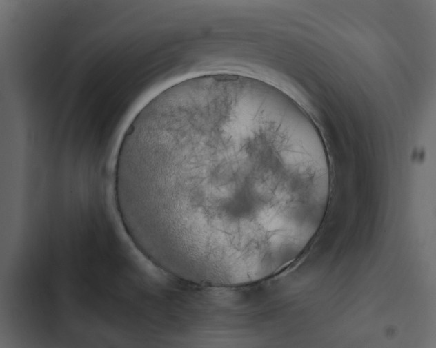 X0000102861536200809021413