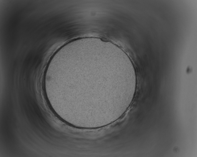 X0000102860001200809081317