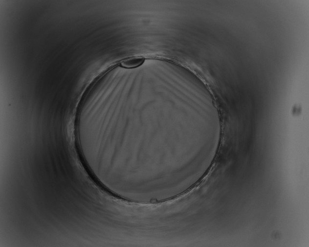 X0000102860002200809081317