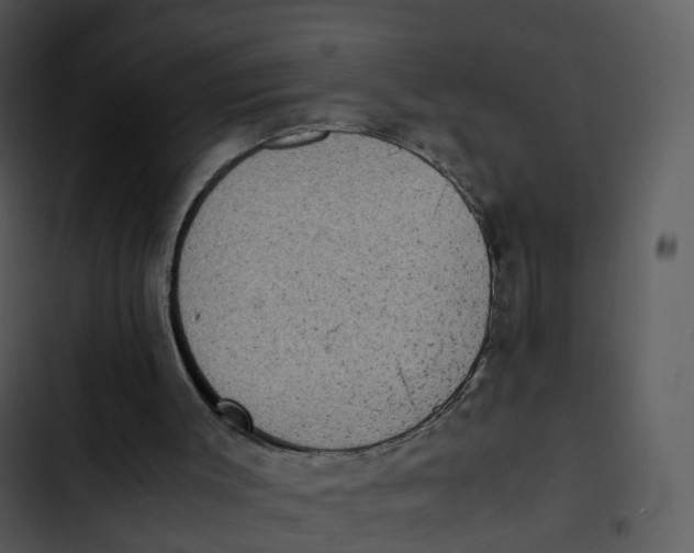 X0000102860003200809081317