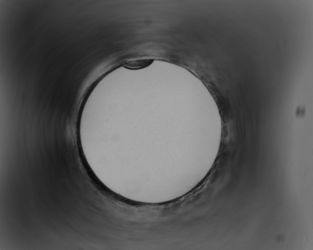 X0000102860004200809081317