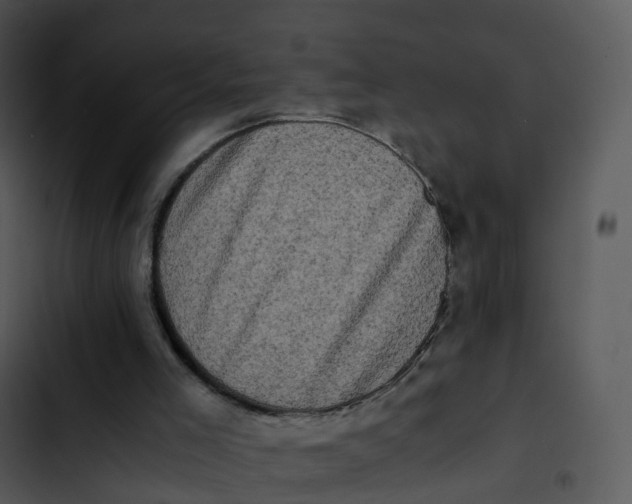 X0000102860005200809081317