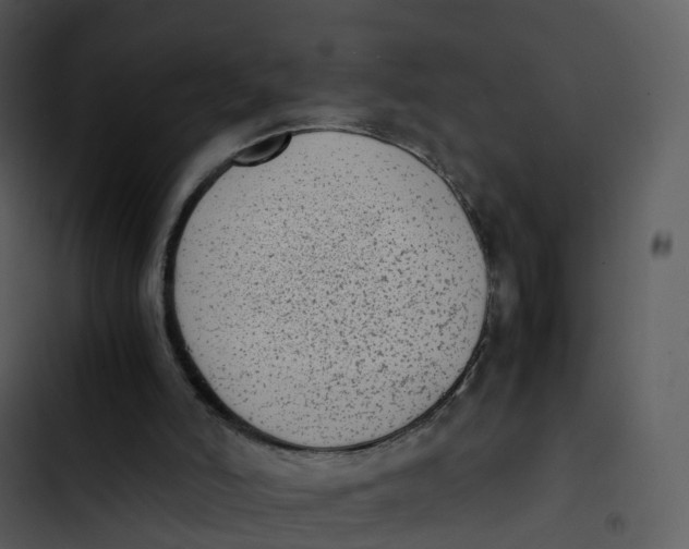 X0000102860006200809081317