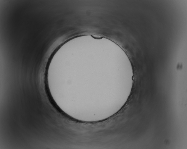 X0000102860007200809081317