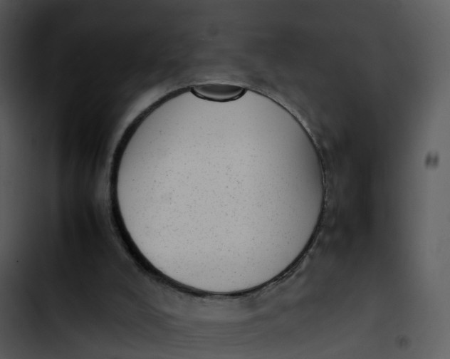 X0000102860008200809081317