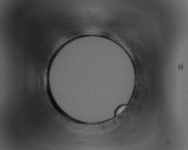 X0000102860011200809081316