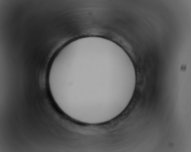 X0000102860012200809081316