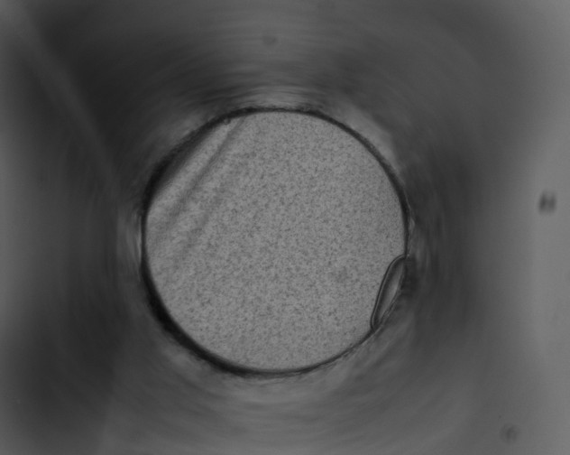 X0000102860013200809081316