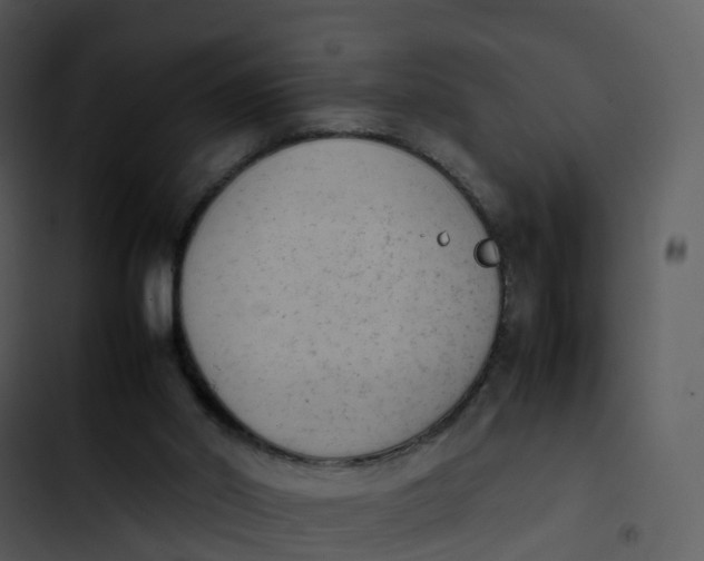 X0000102860014200809081316