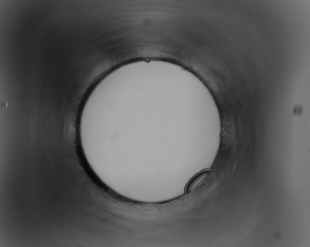 X0000102860015200809081316