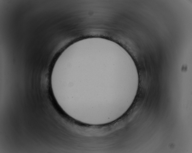 X0000102860016200809081316