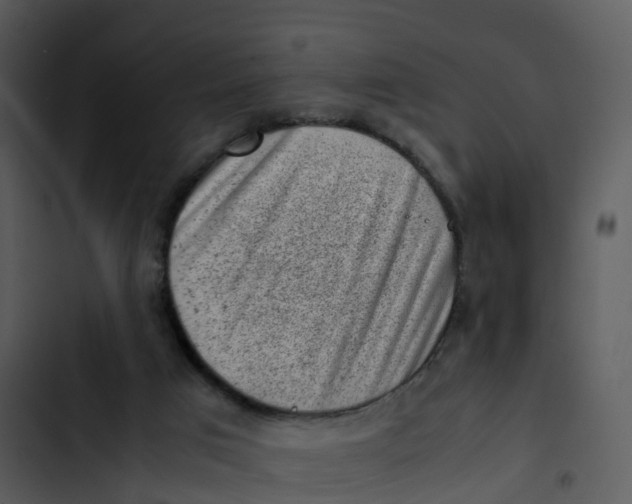 X0000102860017200809081316