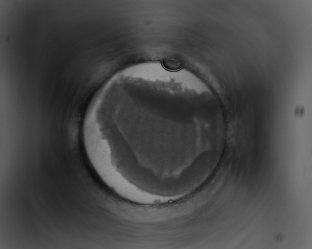 X0000102860018200809081316