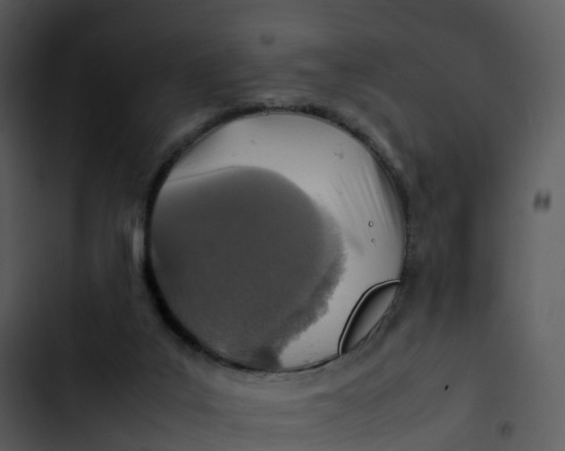 X0000102860019200809081316