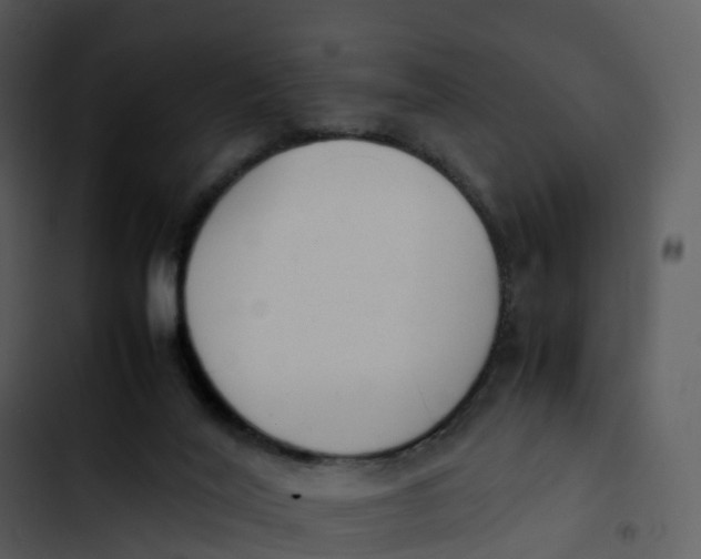 X0000102860020200809081316