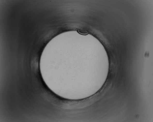 X0000102860021200809081316