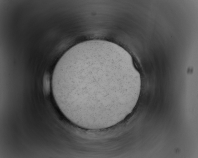 X0000102860022200809081316