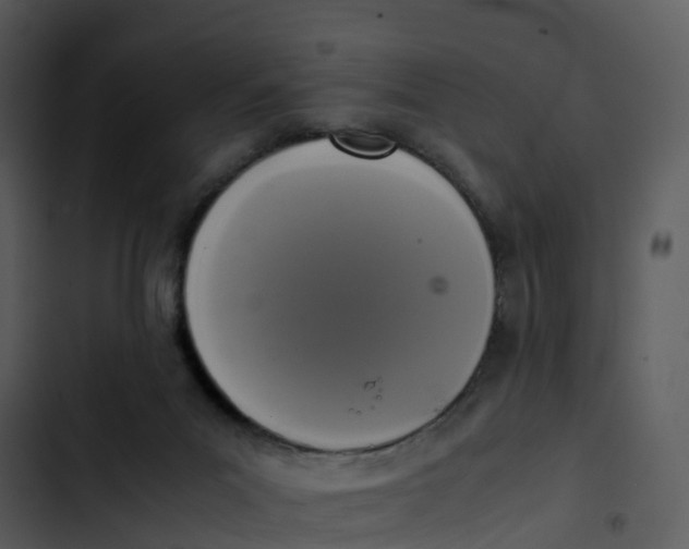 X0000102860023200809081316