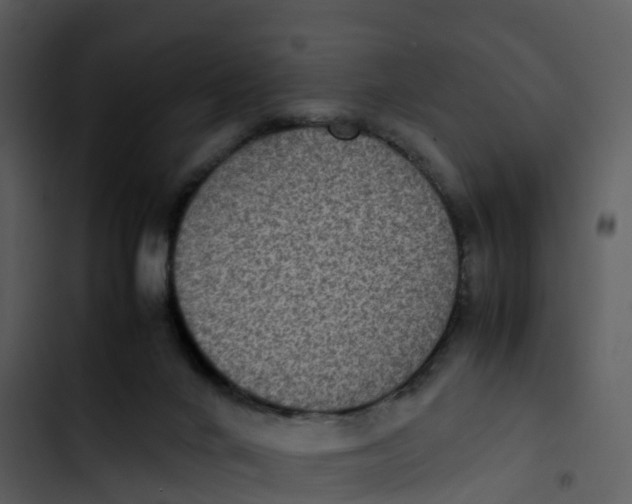 X0000102860024200809081316