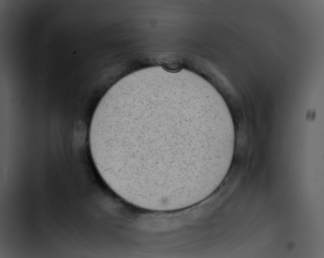 X0000102860025200809081316