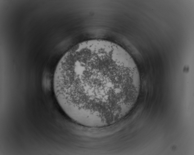 X0000102860026200809081316