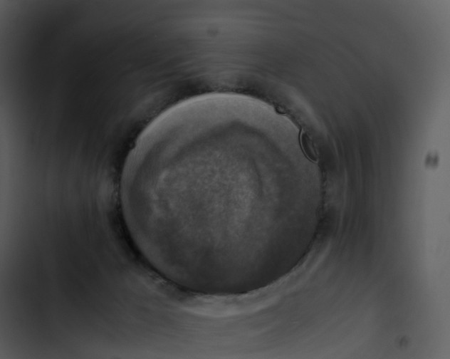 X0000102860029200809081316