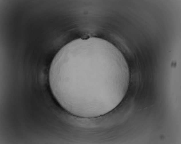 X0000102860030200809081316