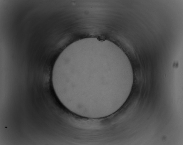 X0000102860032200809081316