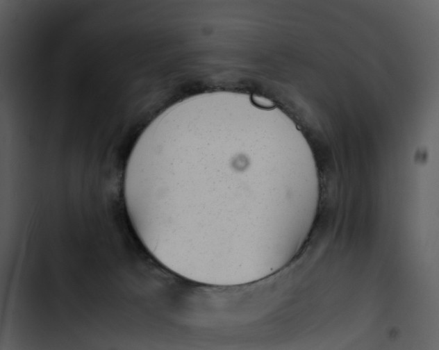 X0000102860033200809081316