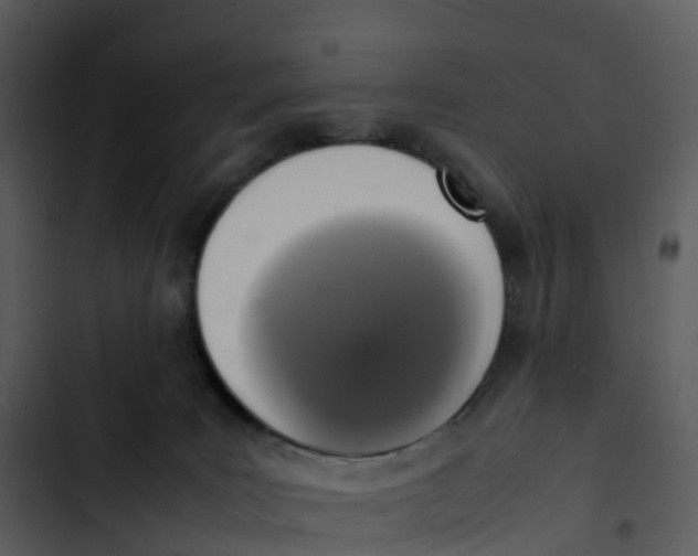 X0000102860035200809081316