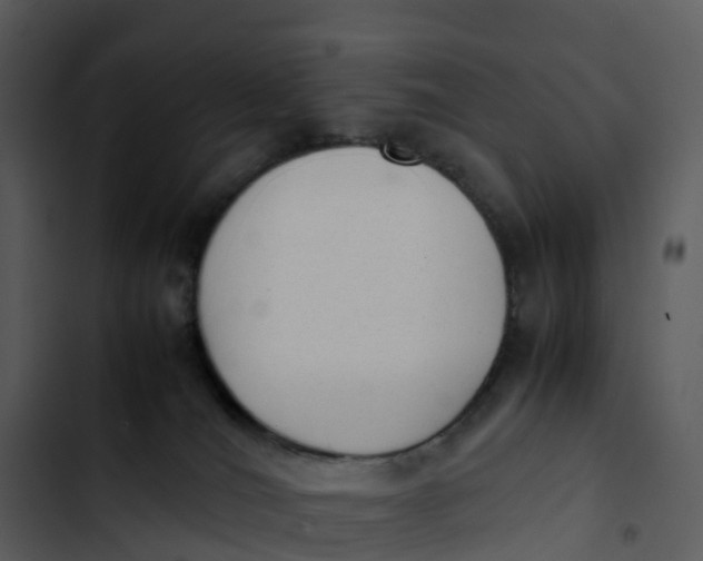 X0000102860036200809081316